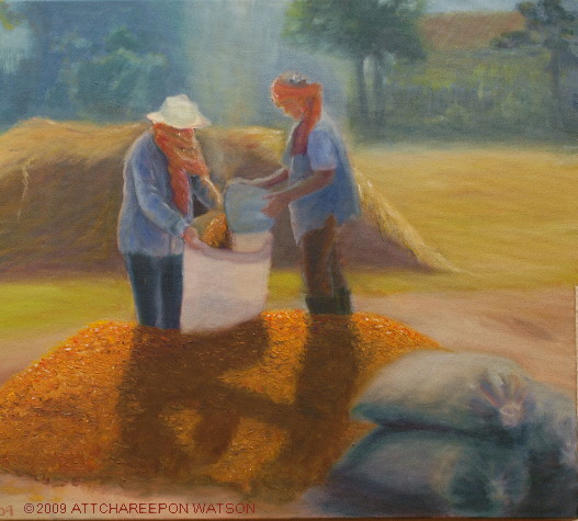 Rice Harvest